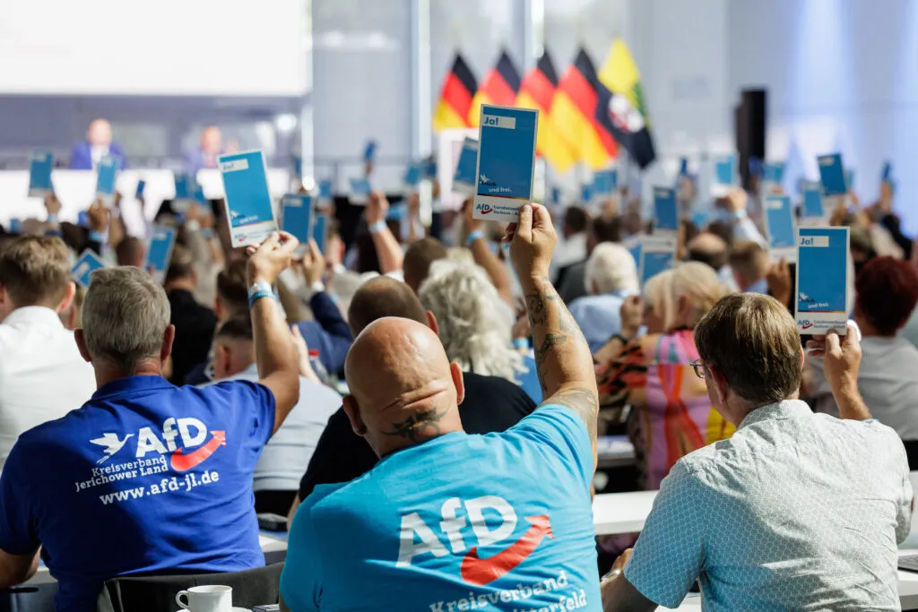 Delegates at an AfD convention
