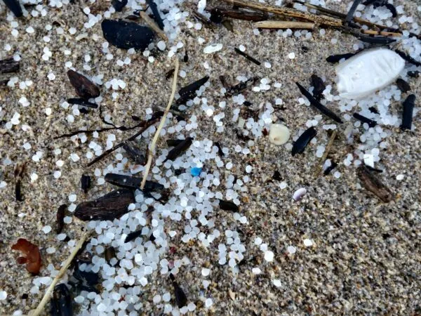 Microplastics sample in laboratory