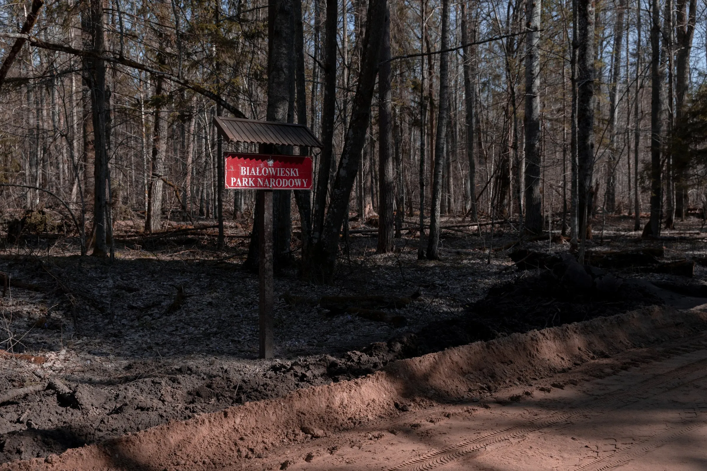 Poland’s pushback push and EU ‘emergency’ plan risk unraveling post‑war rights — says Europe’s top rights official